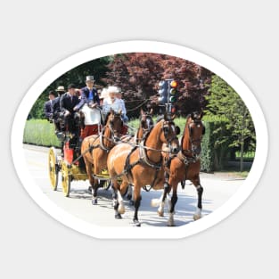 Newport Horses and Carriages Sticker